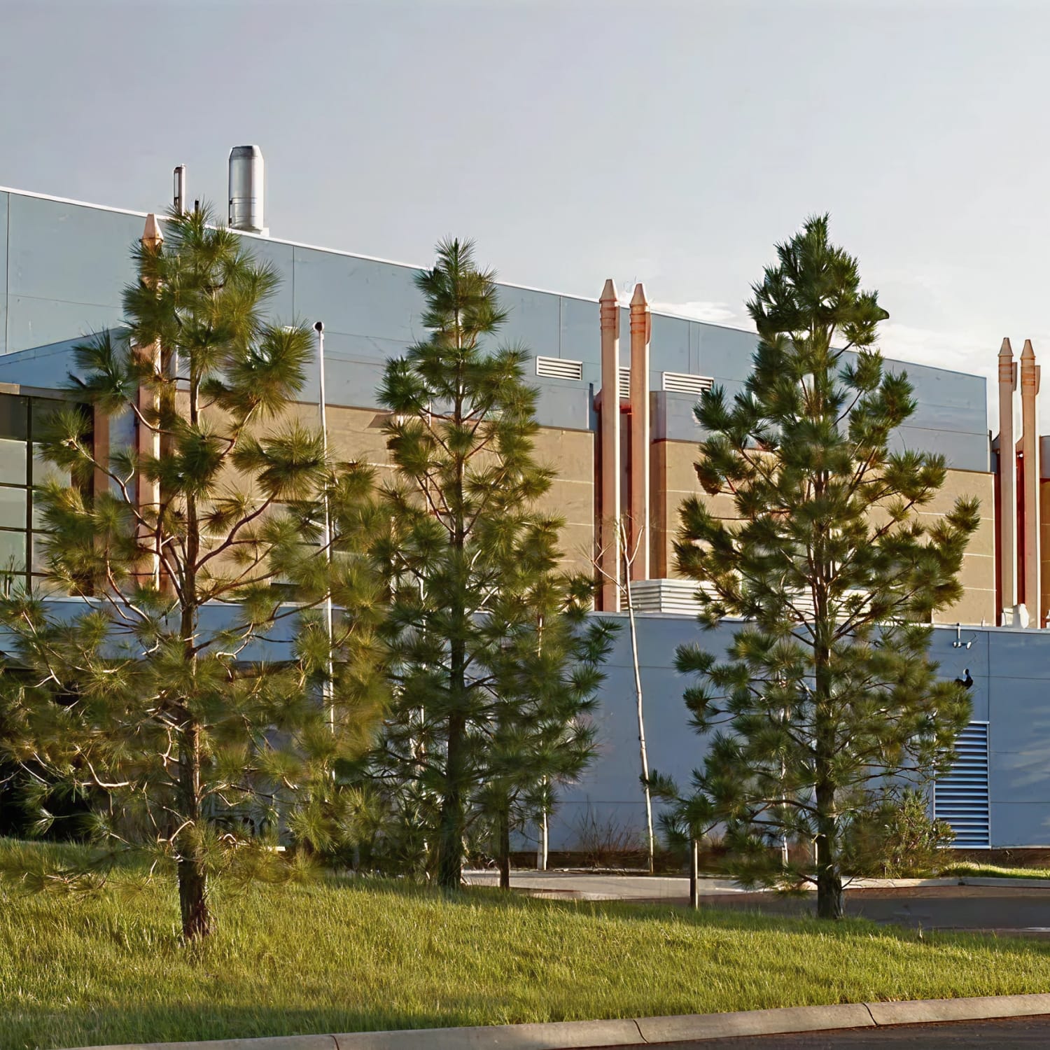the weissman hood institute - an industrial building behind tall pine trees
